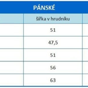 Pánské tričko s krátkým rukávem Strážci Galaxie / GUARDIANS OF THE GALAXY / GROOT SHIELD / ŠEDÉ/VELIKOST XL